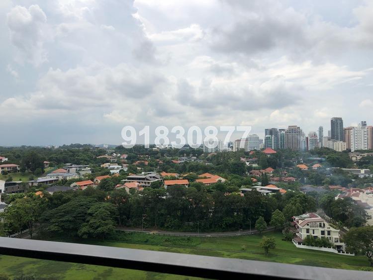 The Crest (D3), Condominium #175222472